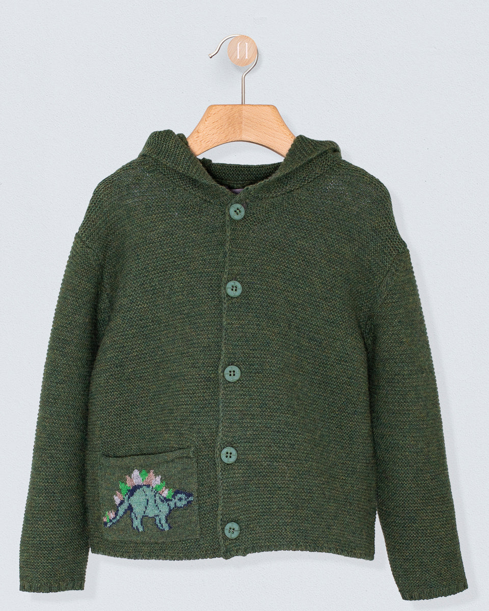 Benjamin Dinosaur Hunter Hooded Sweater